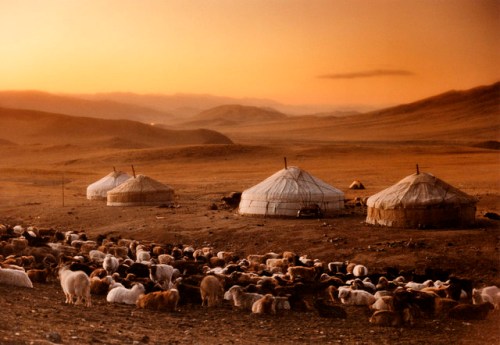 Journey to the Heartland of Mongolia