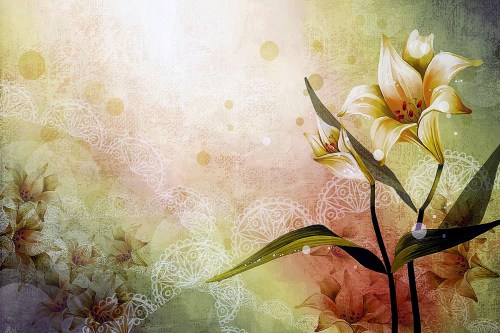 Abstract-Flower-Backgrounds-8_edited-1