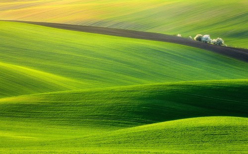 nature-landscapes_widewallpaper_greener-pastures_2611