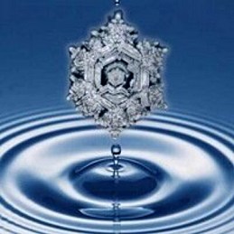 3d49f28bd765c6c76edf16507afe0e00_400x400